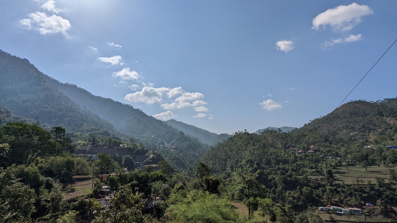 Photo of Others in Dharampur