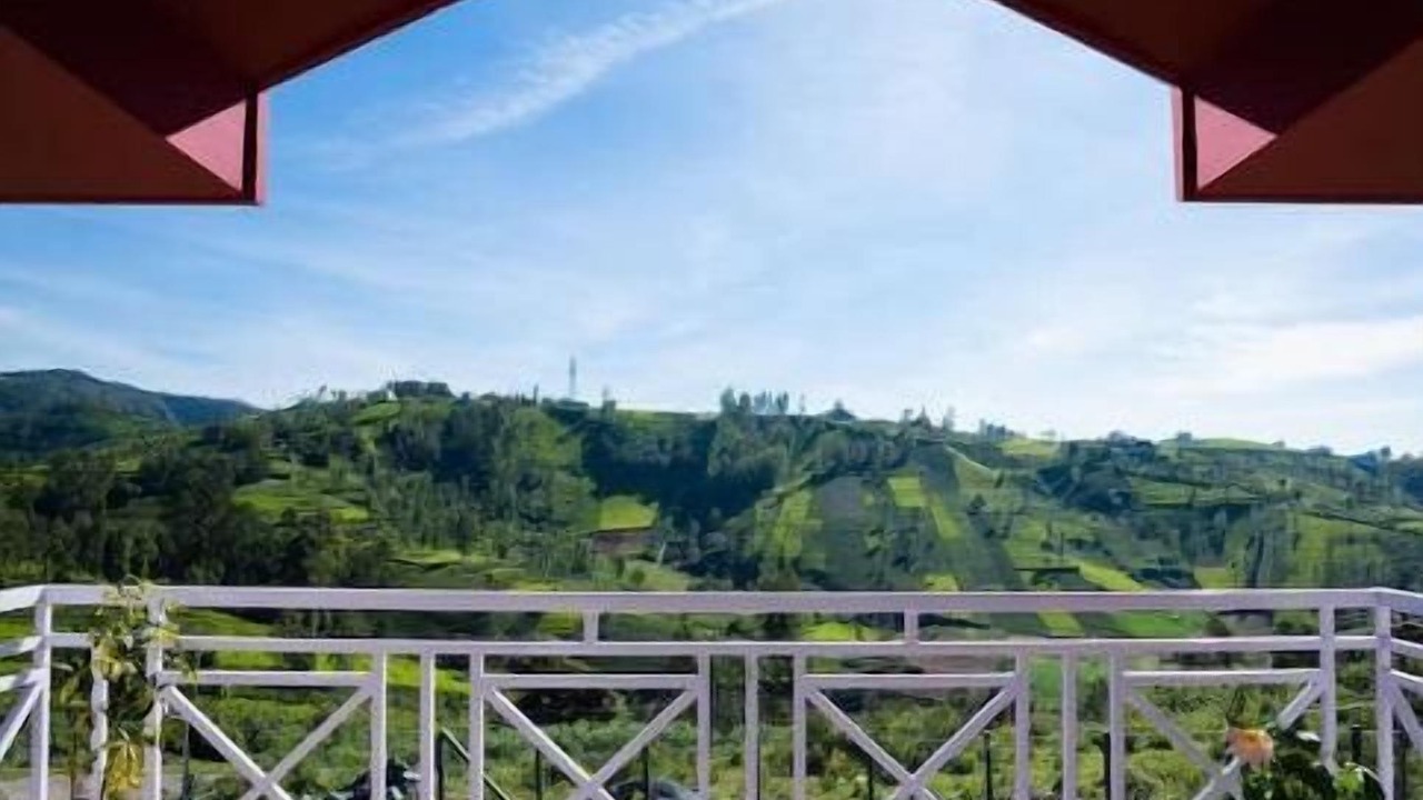 Photo of Outdoor in Ooty