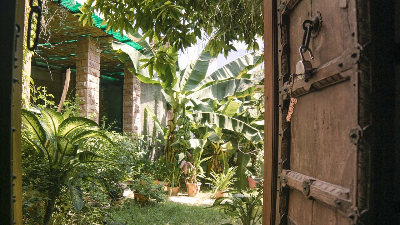 Photo of Outdoor in Jodhpur