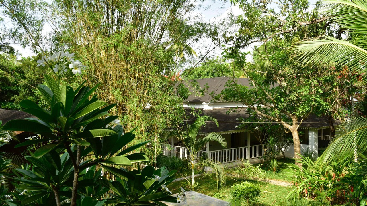 Photo of Outdoor in Siolim