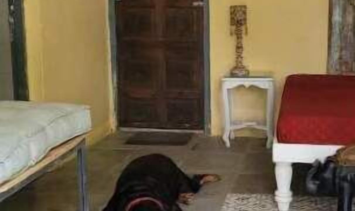 Photo of Others in Versova