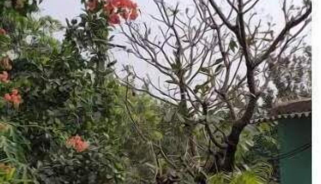 Photo of Outdoor in Versova