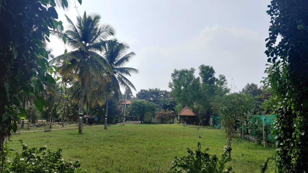 Photo of Outdoor in Madduru