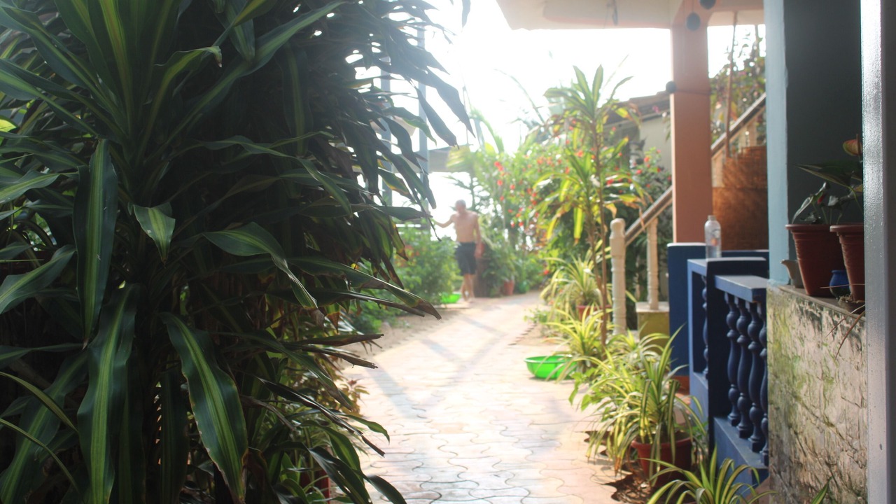Photo of Others in Agonda