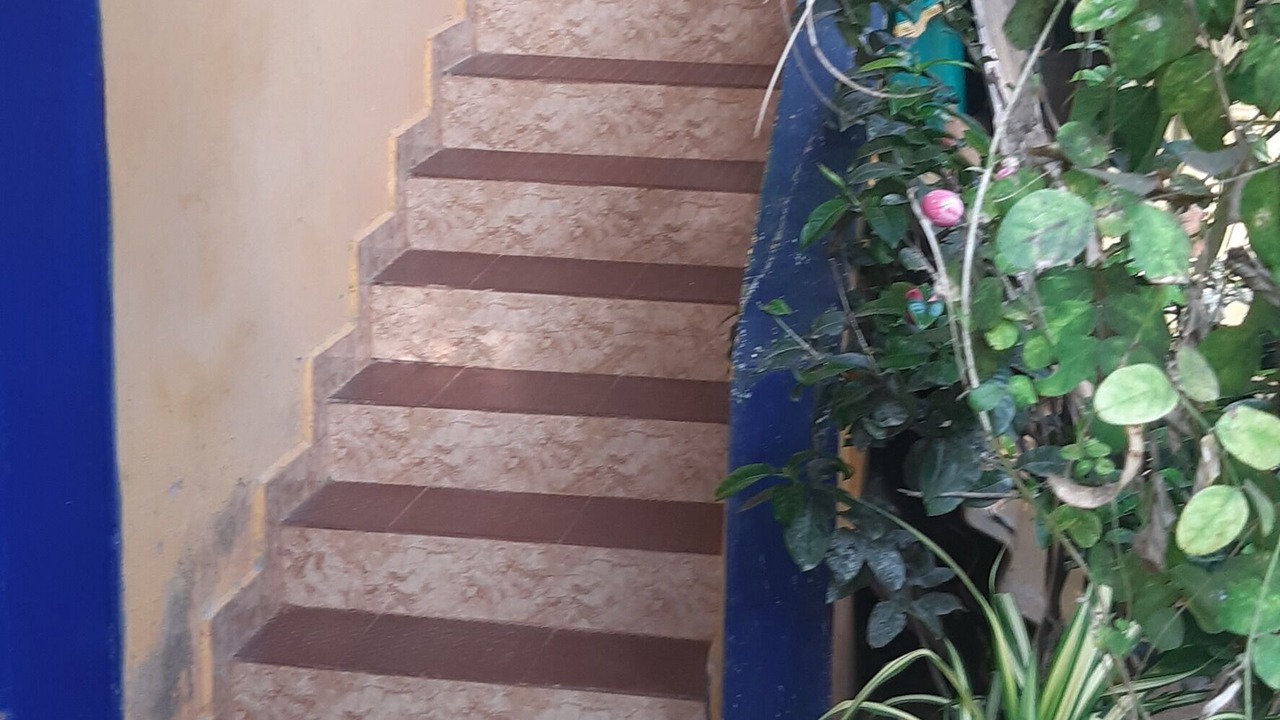 Photo of Outdoor in Agonda
