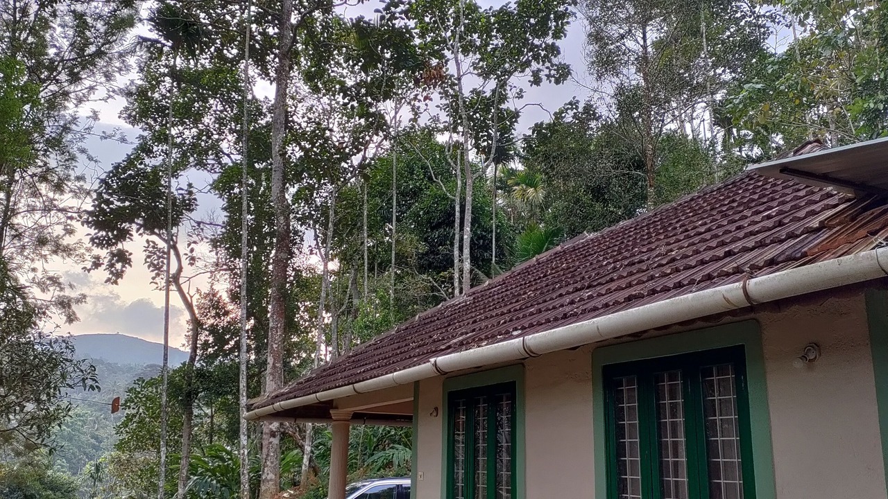 Photo of Outdoor in Udumbanchola