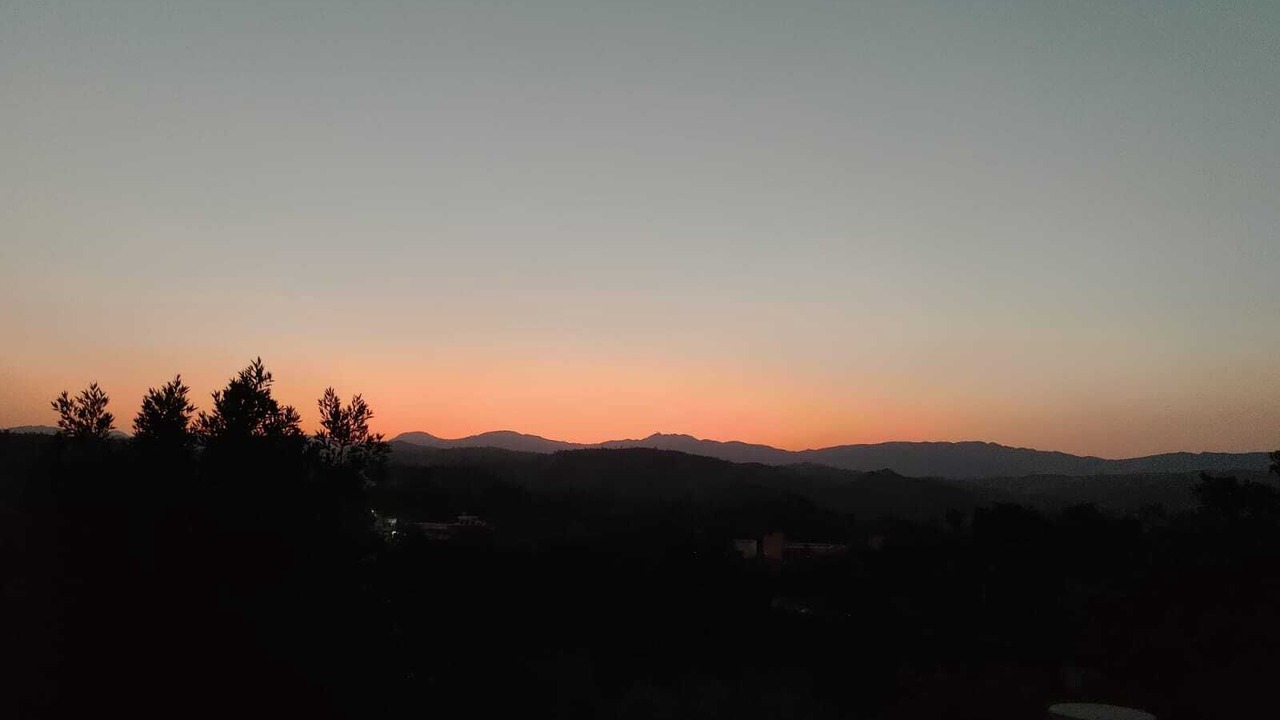 Photo of Others in Bedla