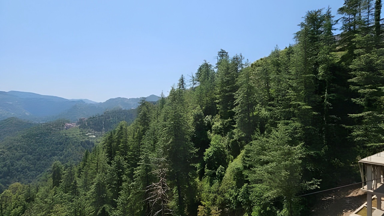 Photo of Others in Shimla