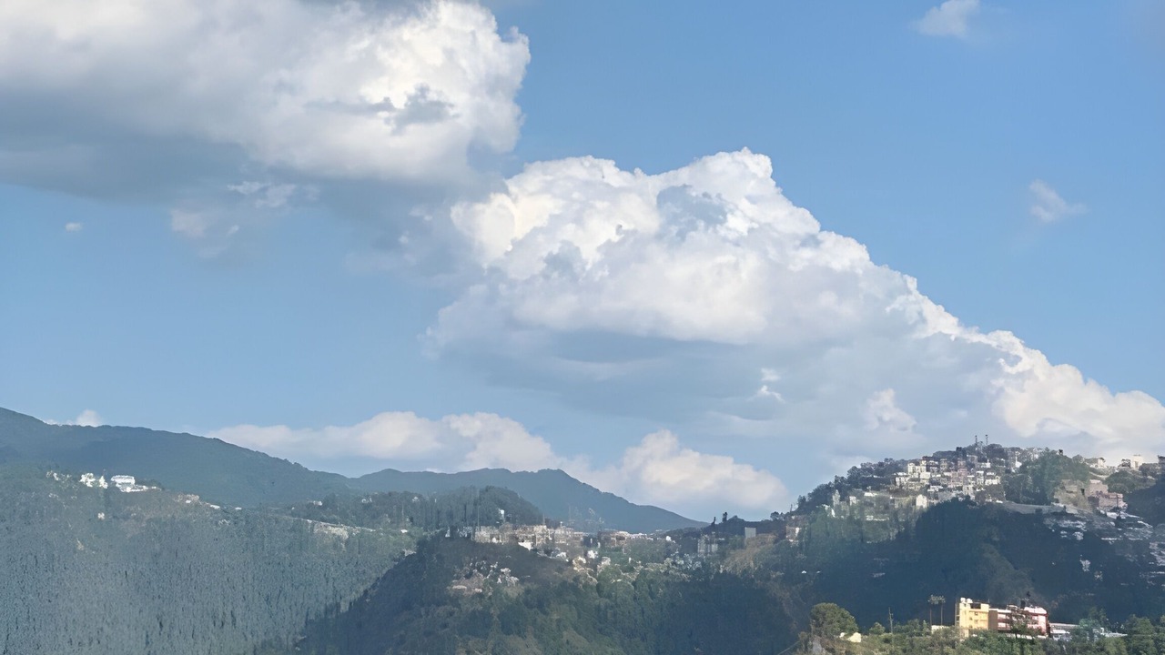 Photo of Others in Shimla