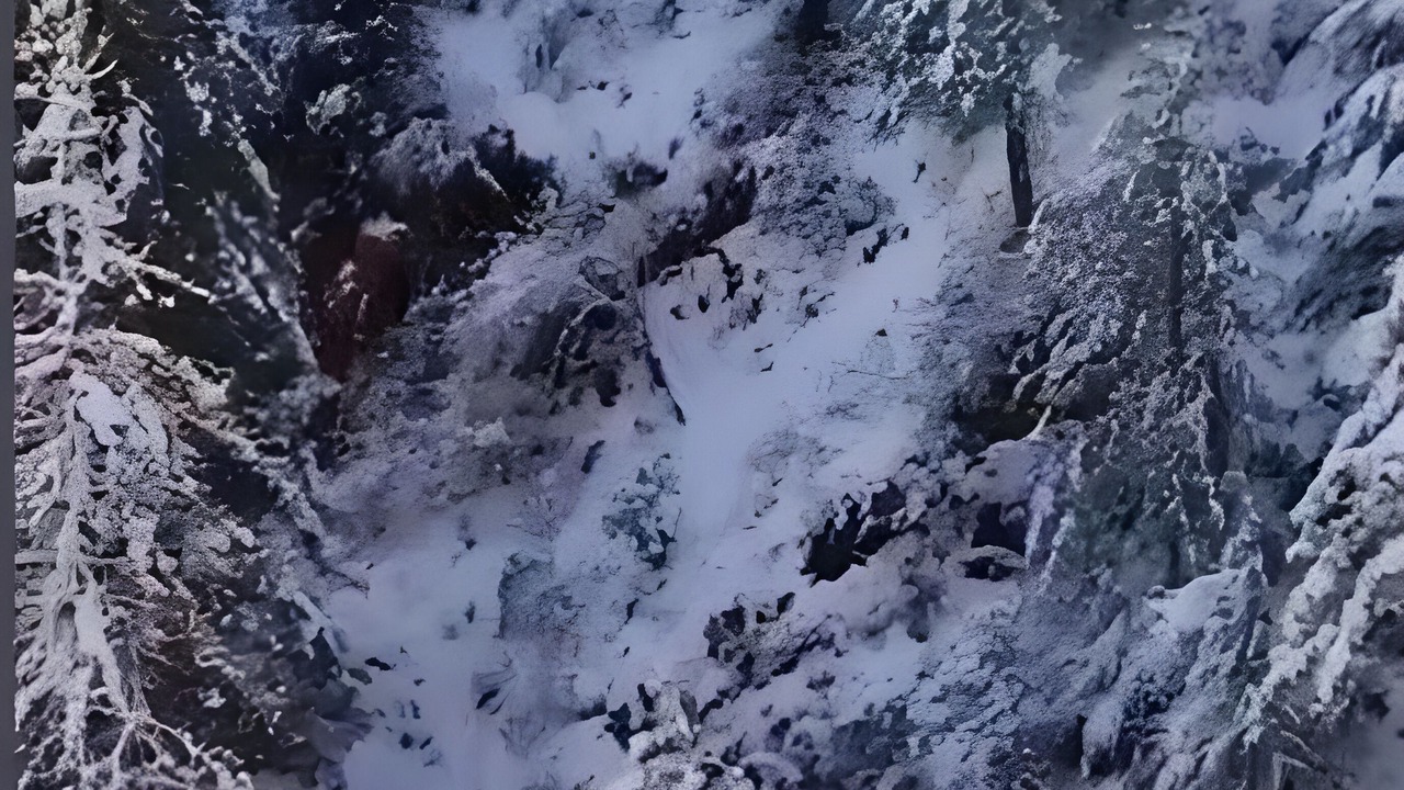 Photo of Outdoor in Shimla