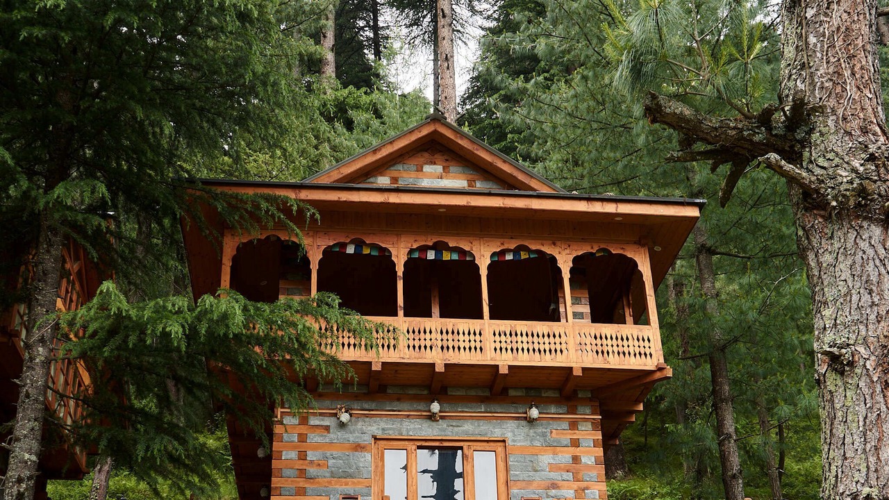Photo of Outdoor in Manali