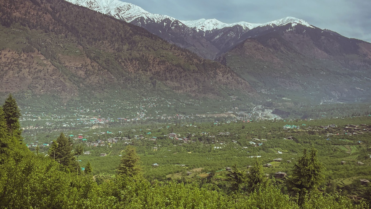 Photo of Others in Manali