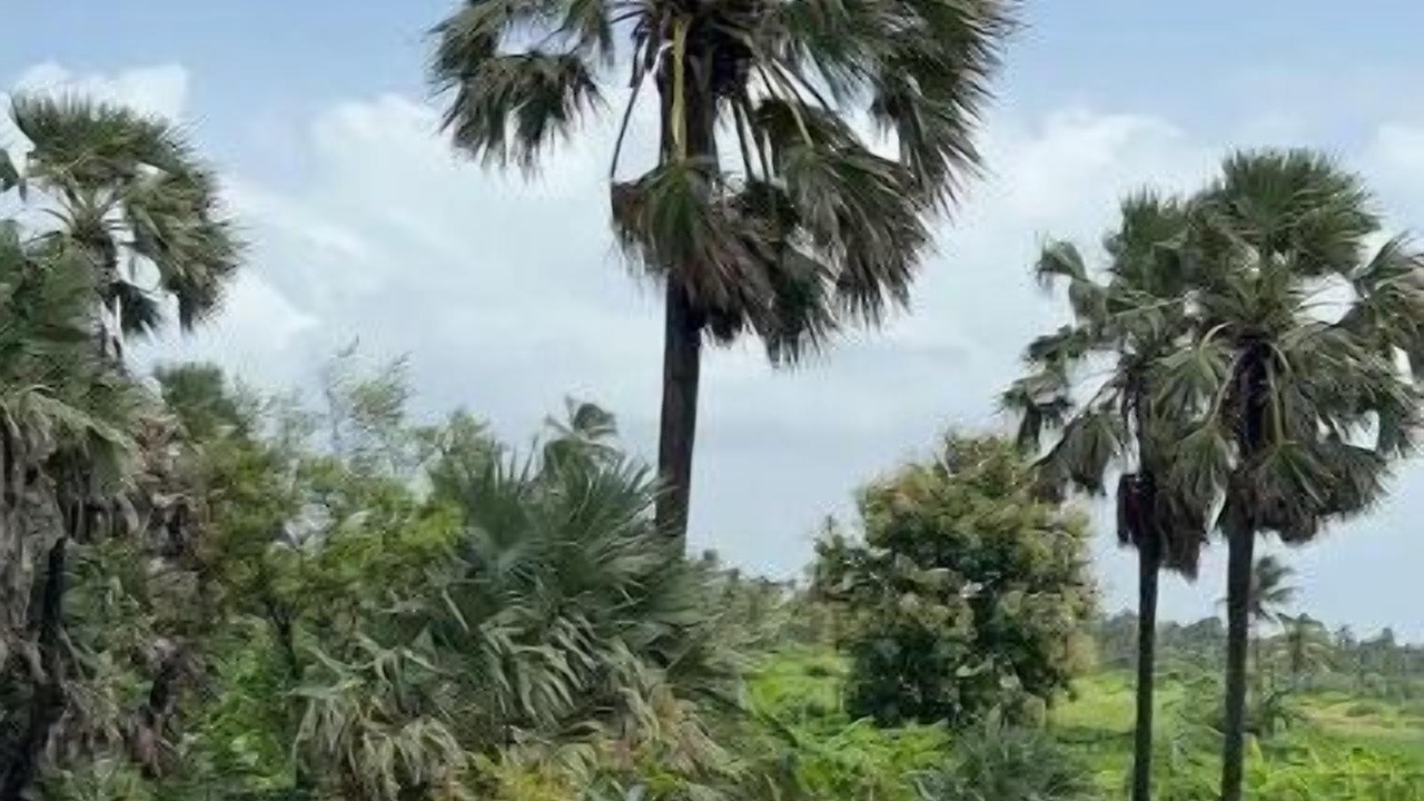 Photo of Outdoor in Vasai
