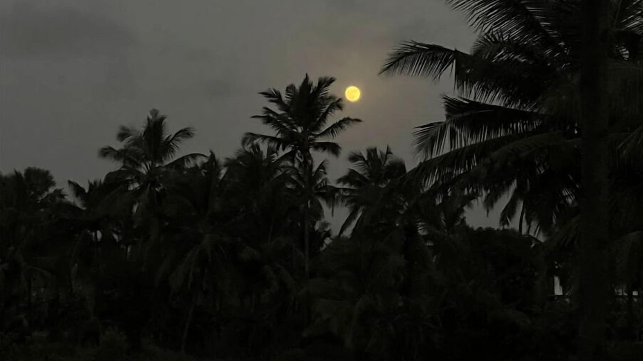 Photo of Others in Vasai