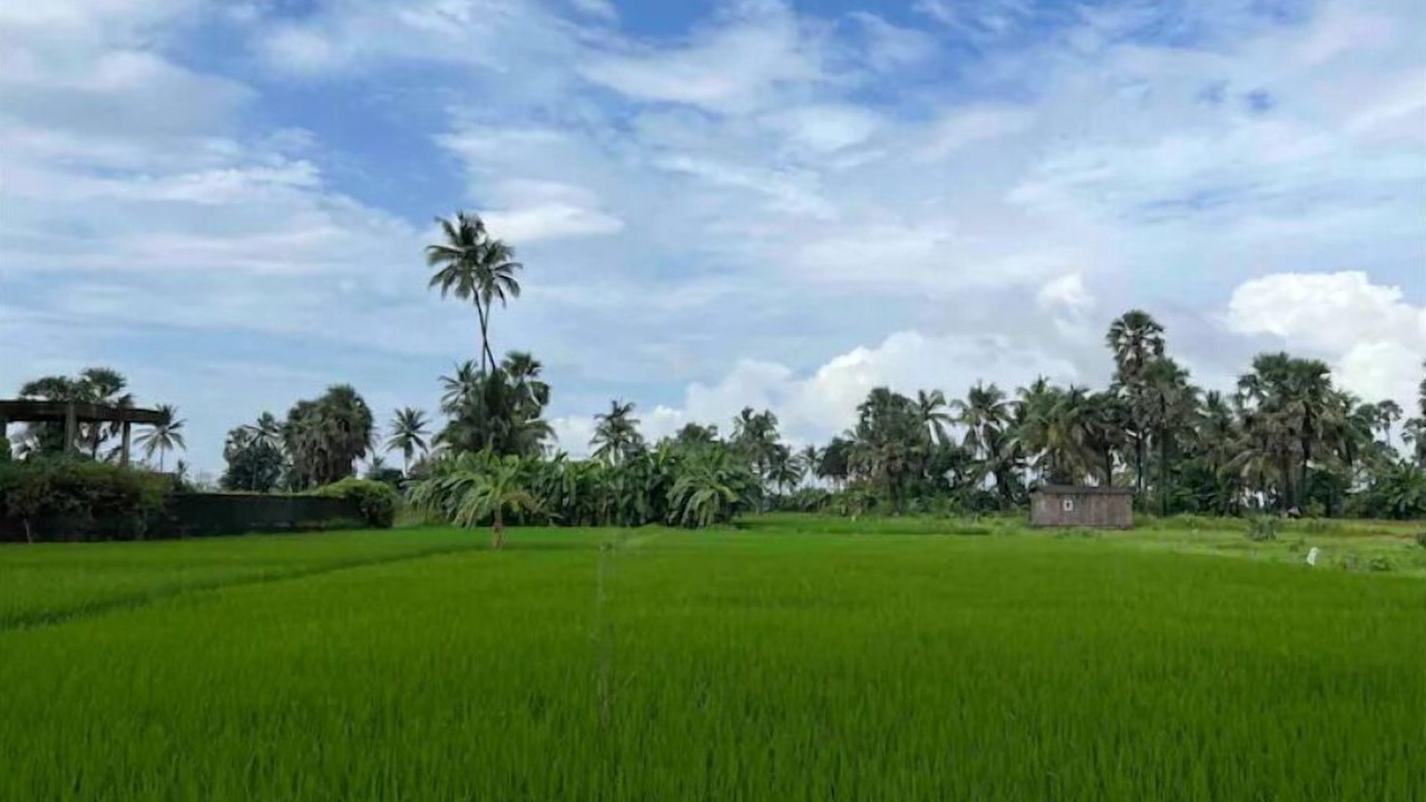 Photo of Others in Vasai