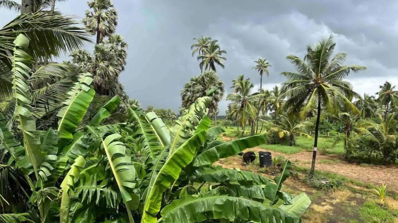 Photo of Outdoor in Vasai