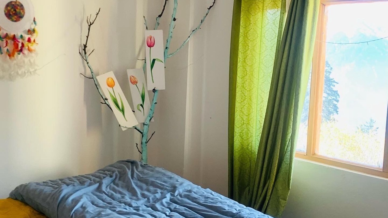 Photo of Bedroom in New Manali