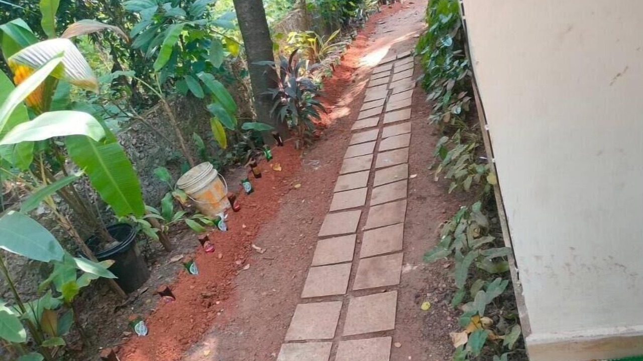 Photo of Outdoor in Anjuna