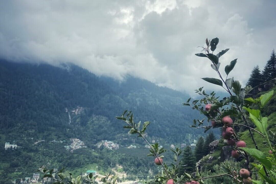 Photo of Others in Jagatsukh