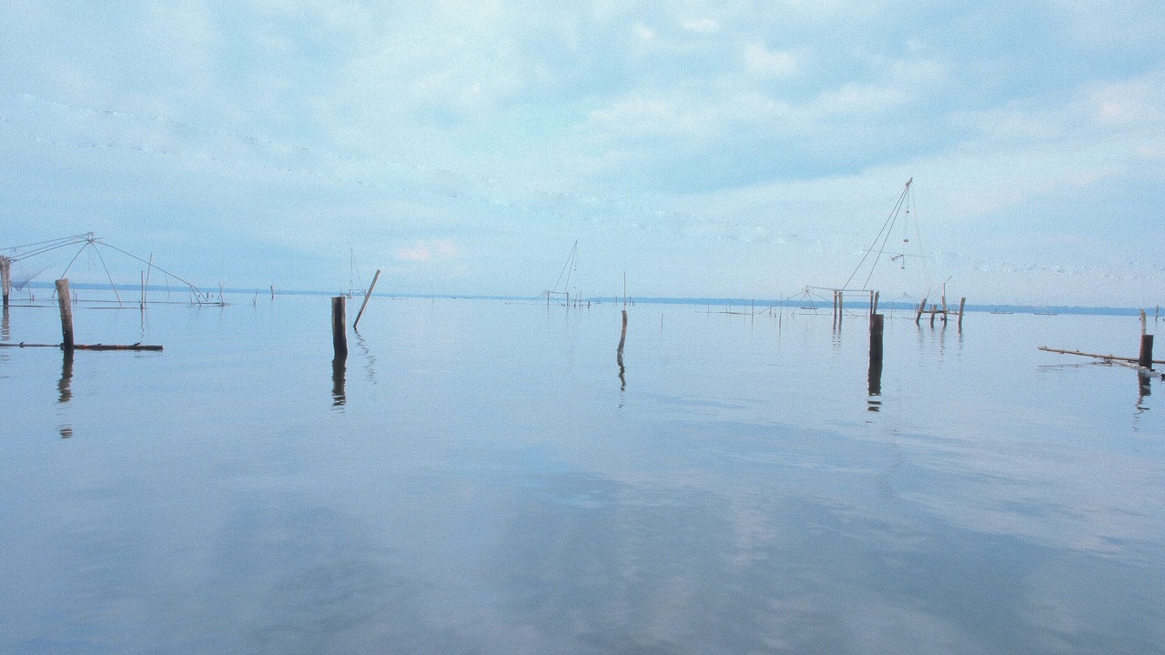 Photo of Outdoor in Andhakaranazhy