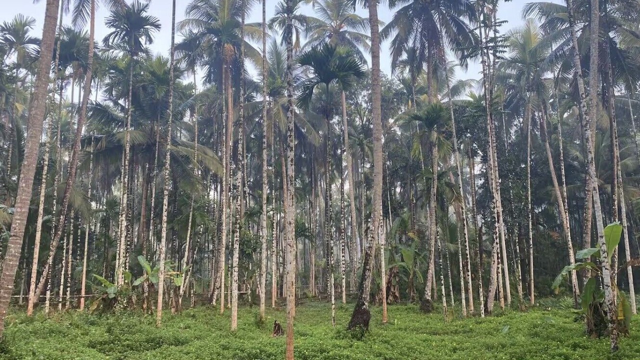 Photo of Others in Kozhikode