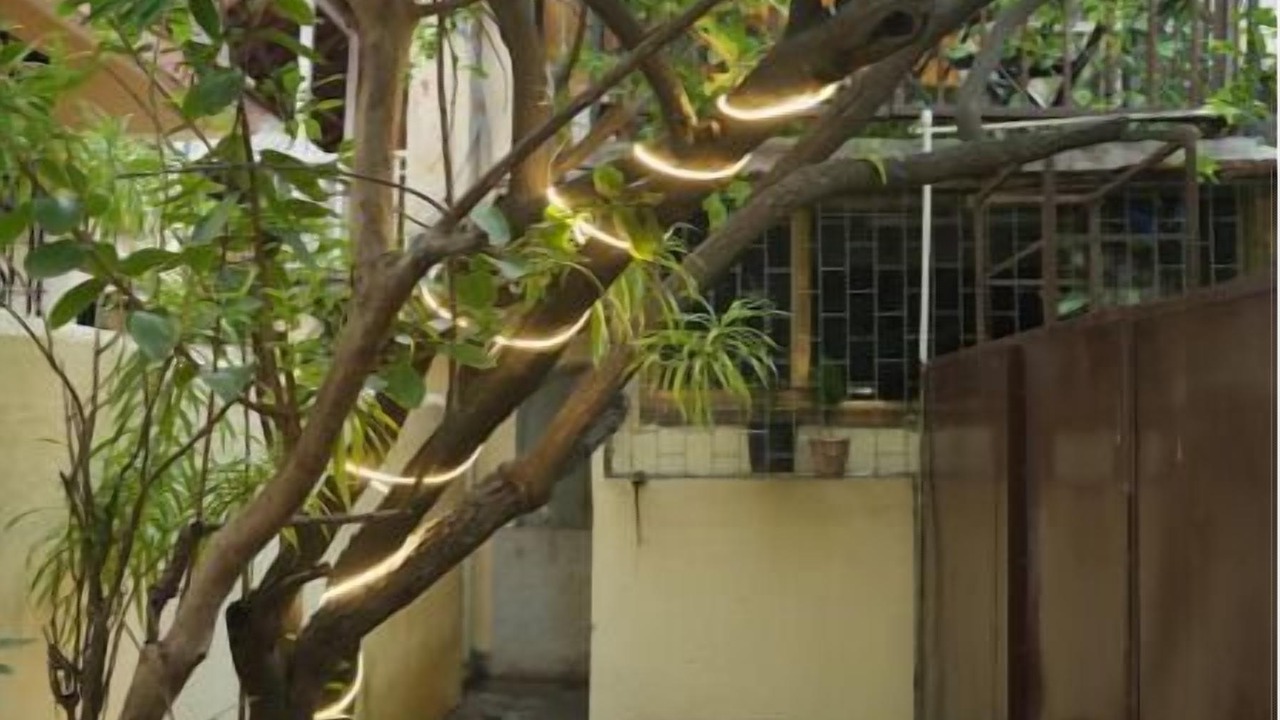 Photo of Outdoor in Pali Hill