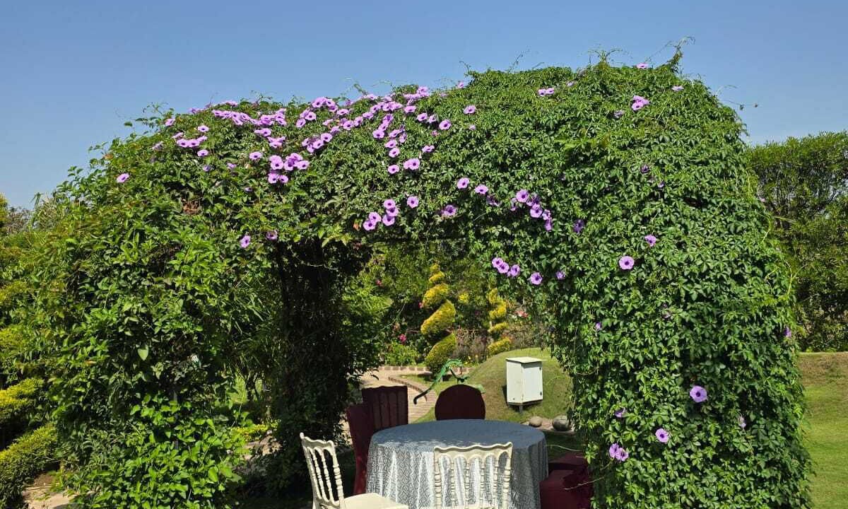 Photo of Outdoor in Jabalpur