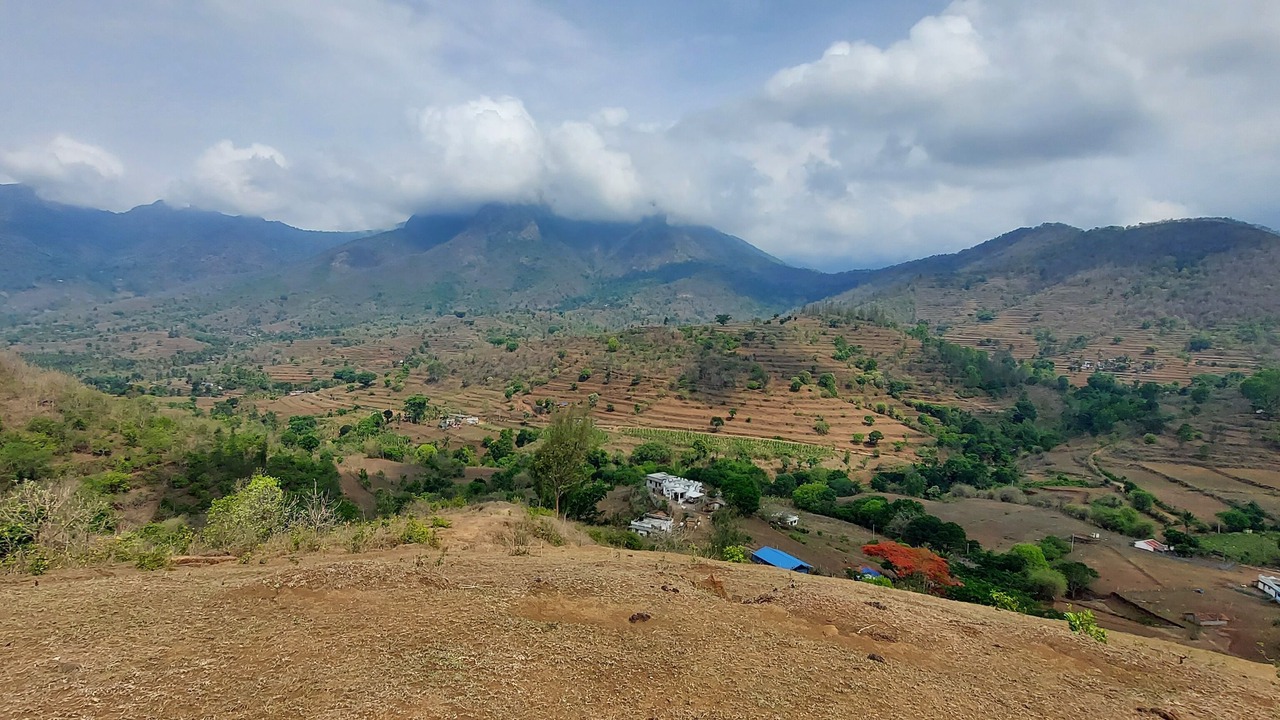 Photo of Others in Mannarkkad