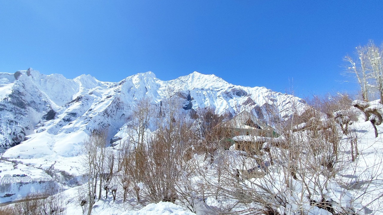 Photo of Others in Keylong