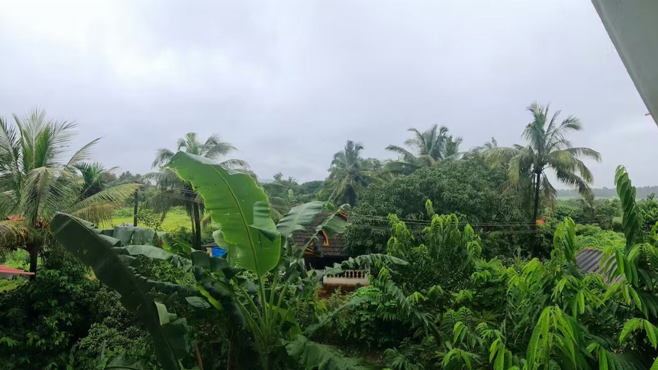 Photo of Outdoor in Aldona