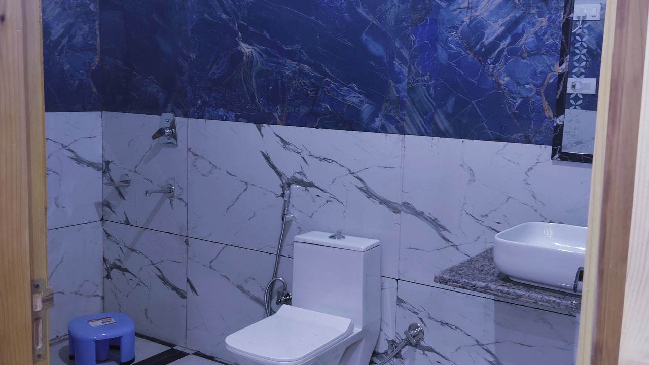 Photo of Bathroom in Manali