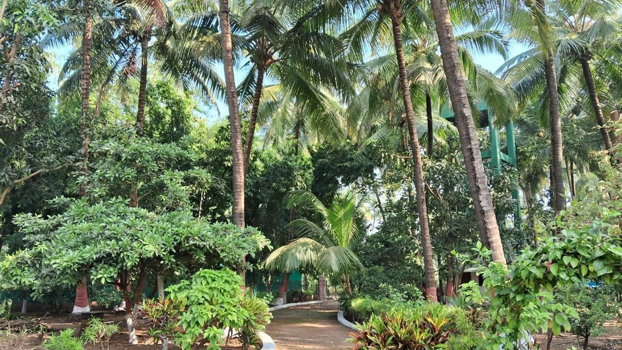 Photo of Outdoor in Akshi