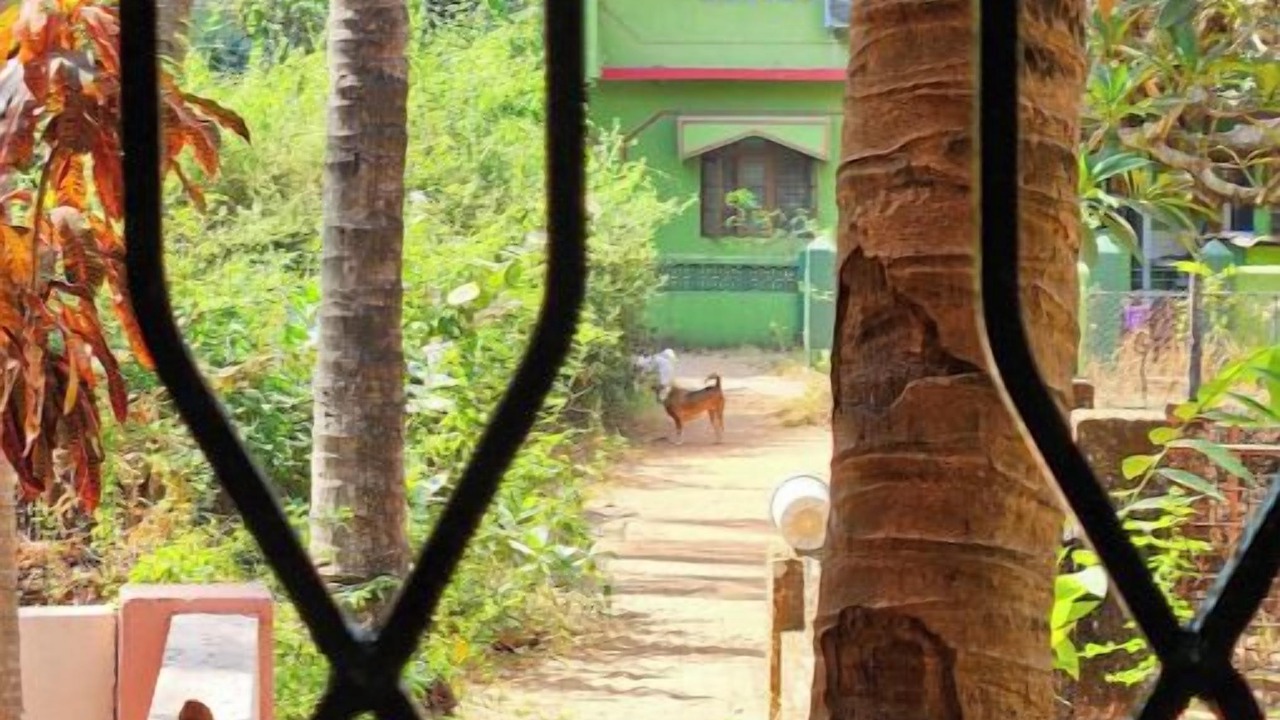 Photo of Patio Balcony in Candolim