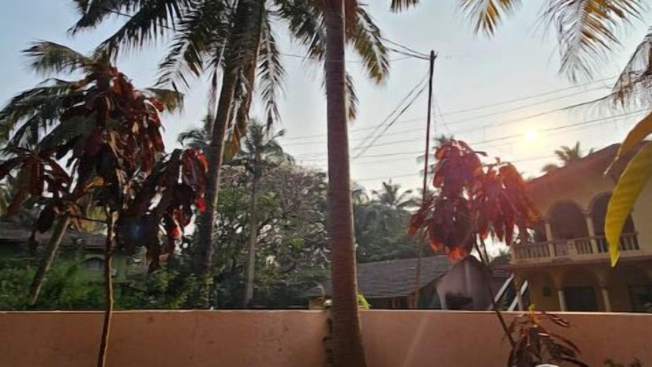 Photo of Outdoor in Candolim