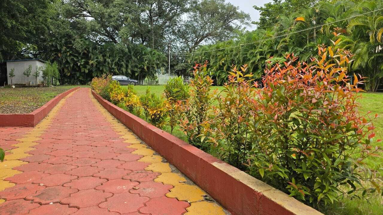Photo of Outdoor in Wai