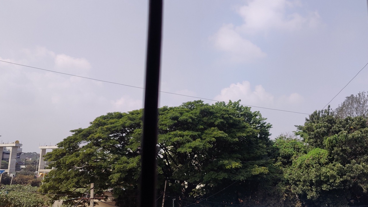 Photo of Others in Kalyan Nagar