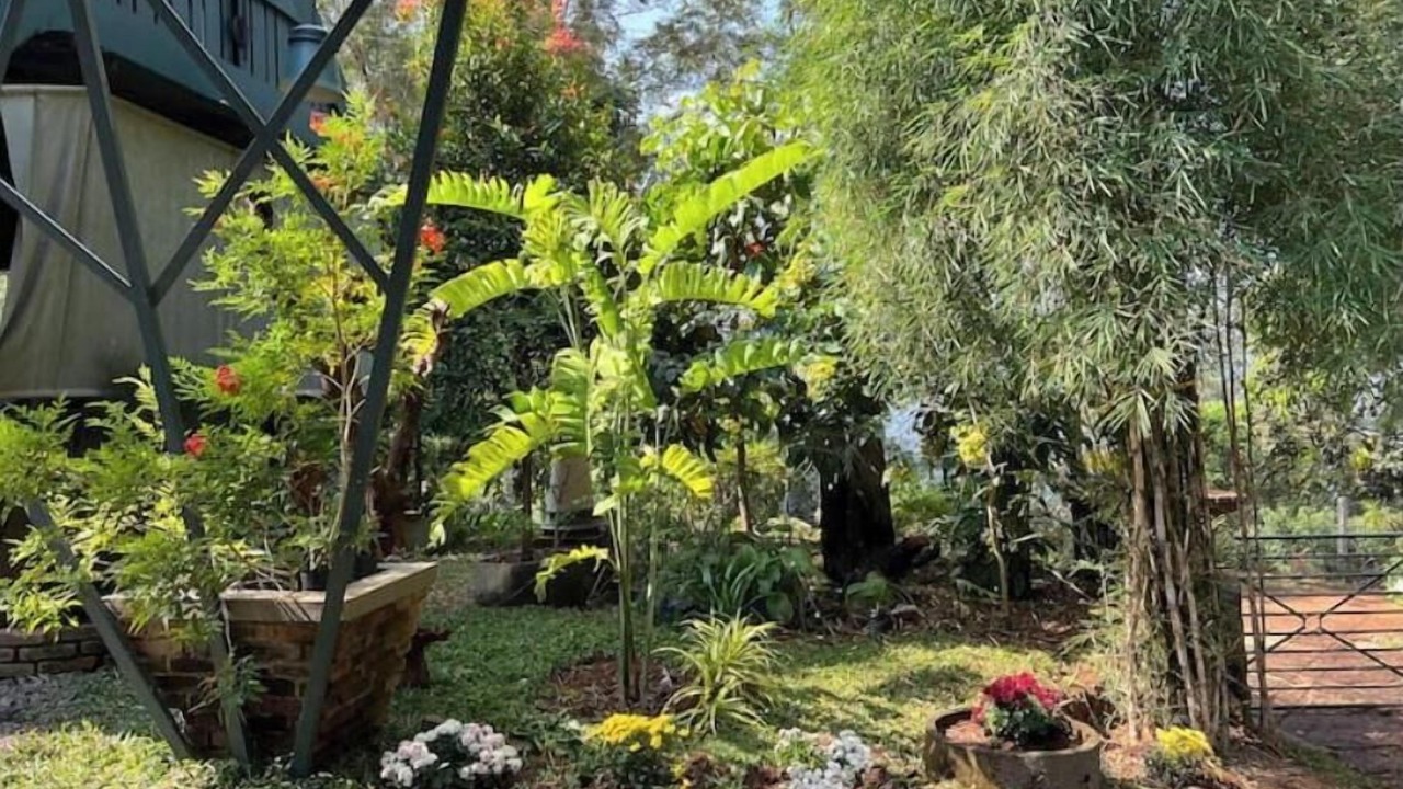 Photo of Outdoor in Udumbanchola