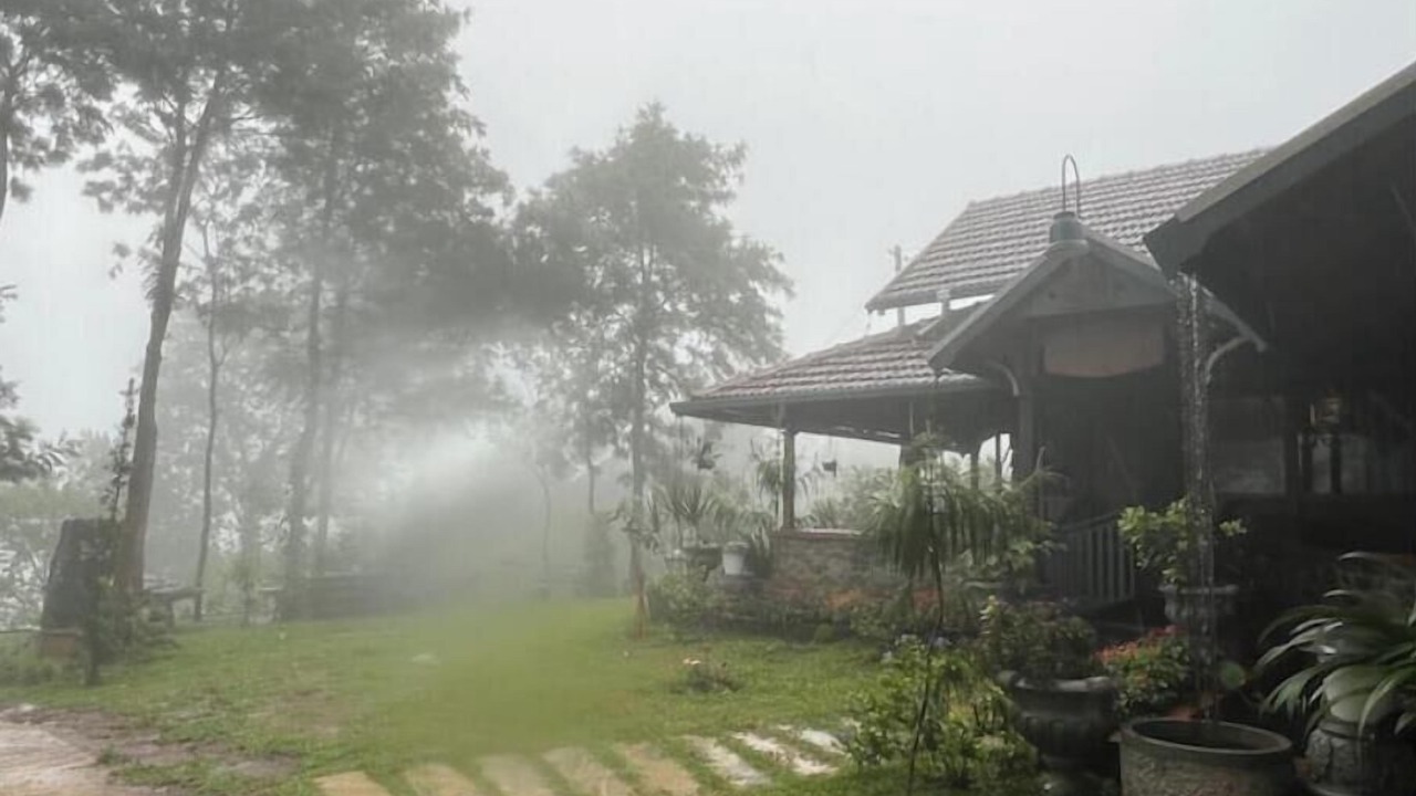 Photo of Outdoor in Udumbanchola