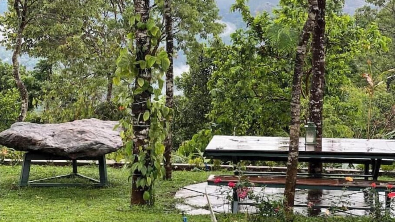 Photo of Outdoor in Udumbanchola