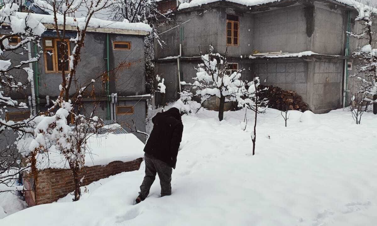 Photo of Outdoor in Old Manali