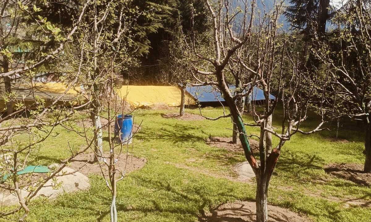 Photo of Outdoor in Old Manali
