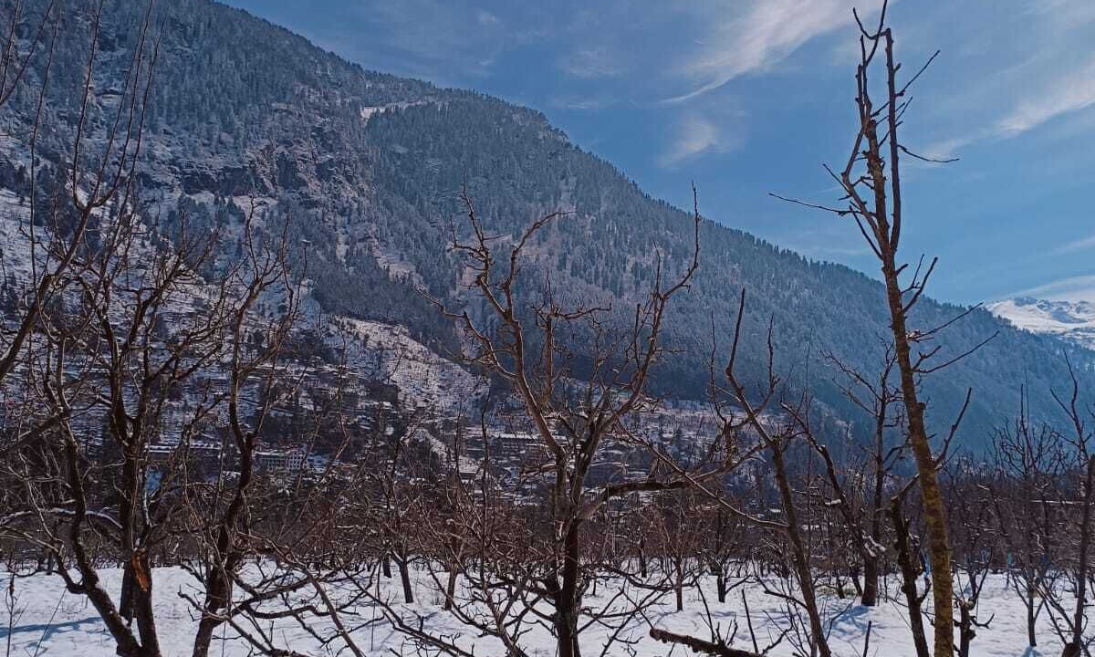 Photo of Others in Old Manali