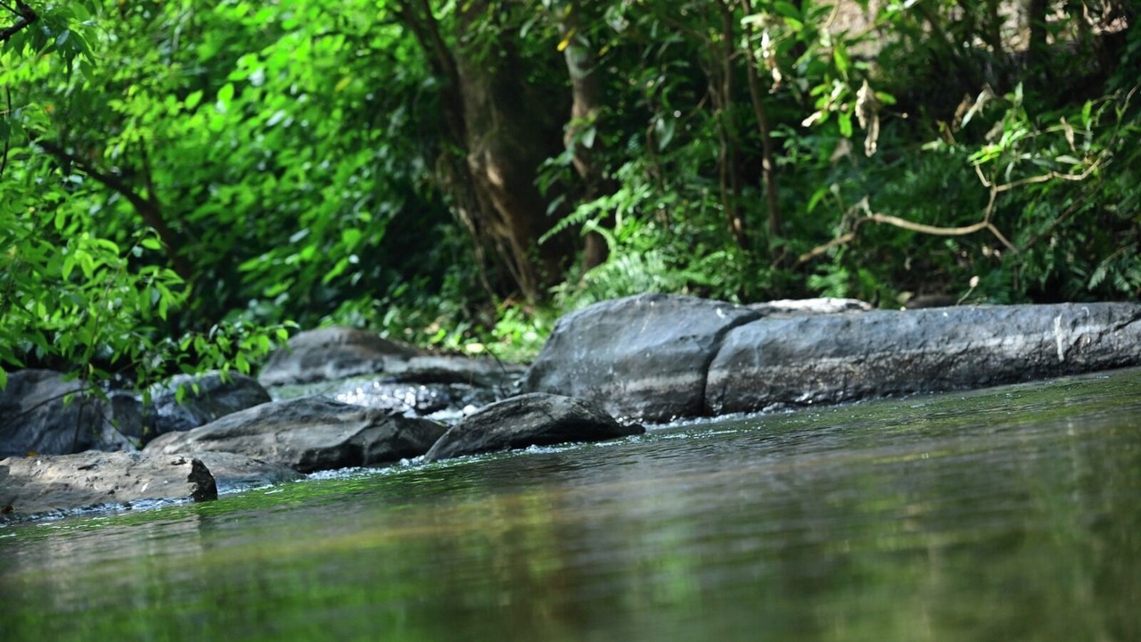 Photo of Others in Madapura