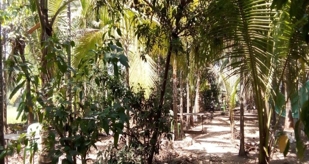 Photo of Outdoor in Nagaon