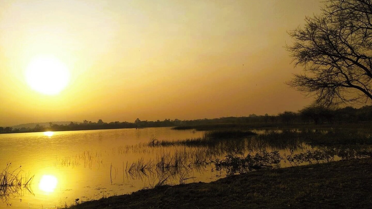 Photo of Others in Bhopal