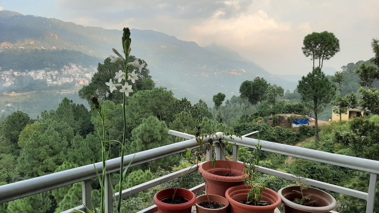Photo of Outdoor in Kumarhatti