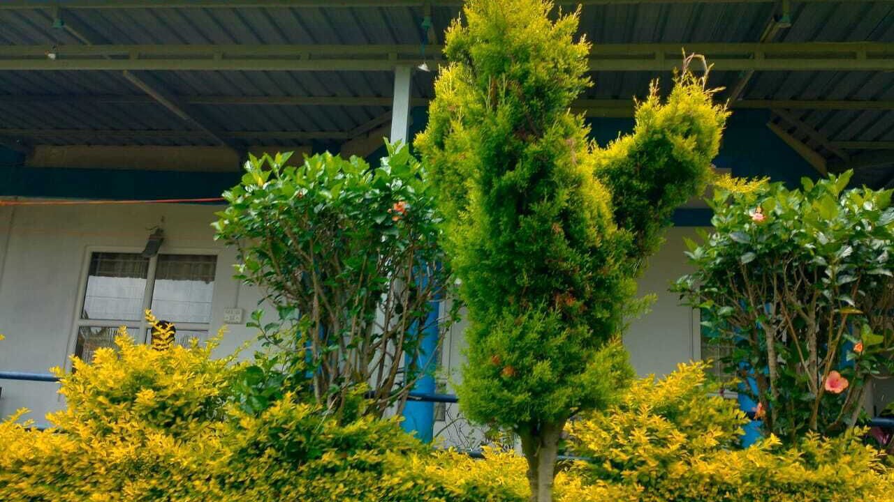 Photo of Outdoor in Kotagiri