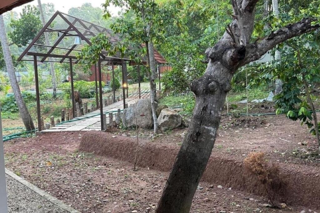 Photo of Outdoor in Chirayinkil
