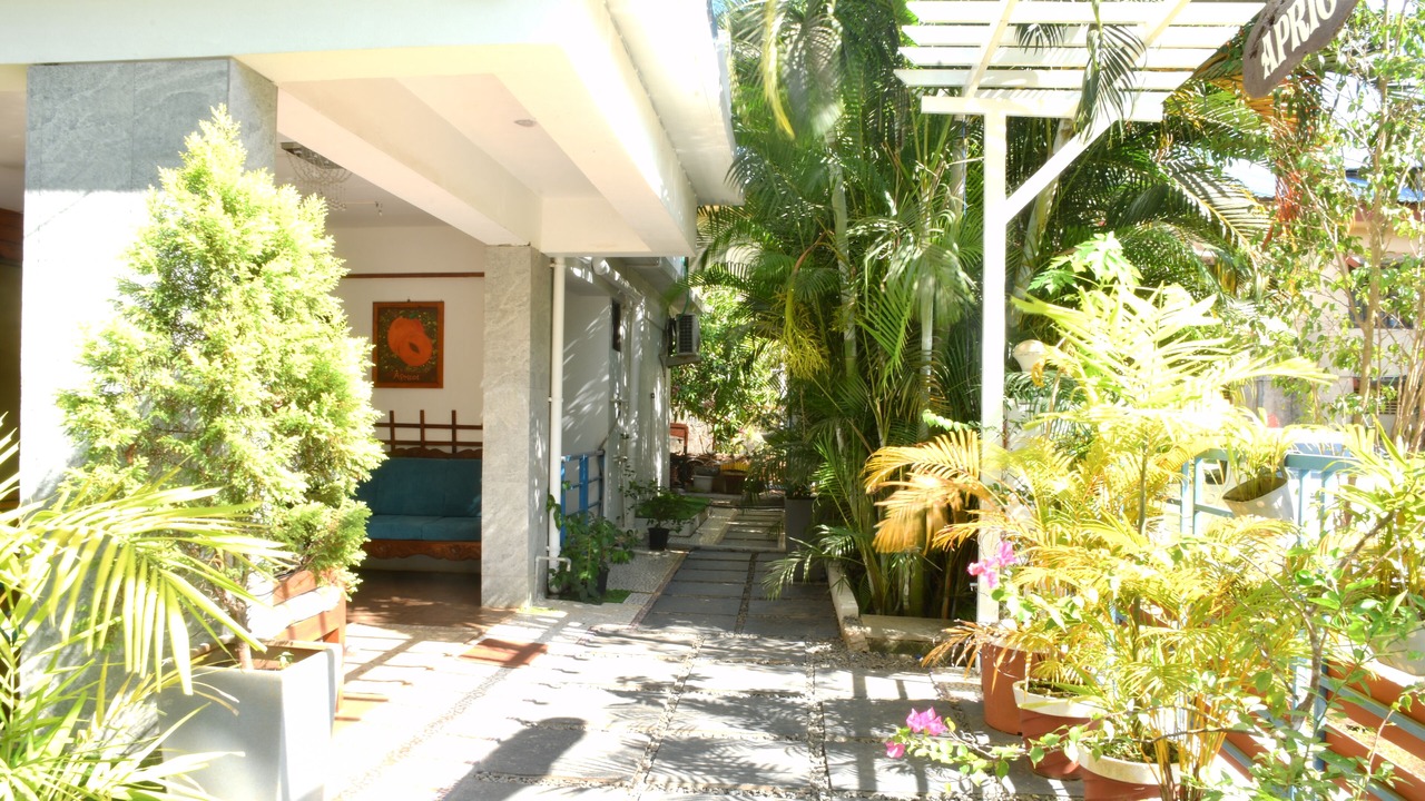 Photo of Outdoor in Palolem
