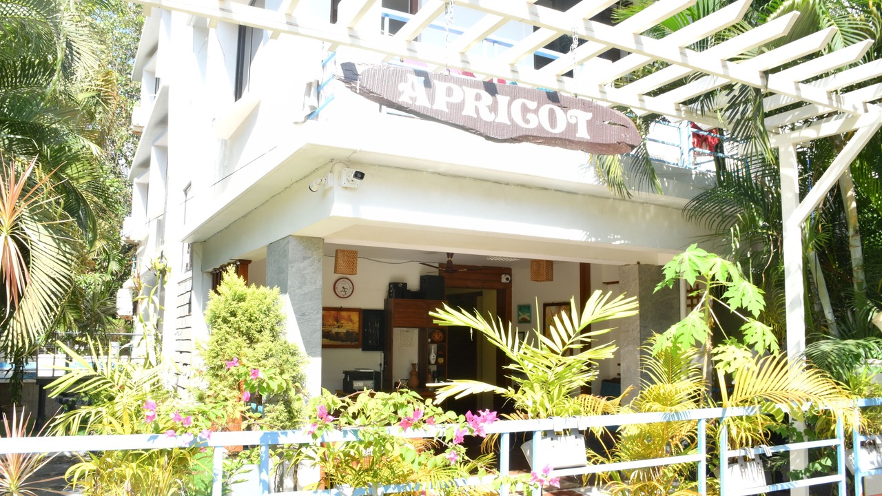 Photo of Outdoor in Palolem